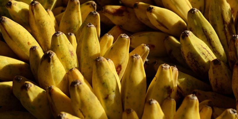 Har du spist en banan i dag?